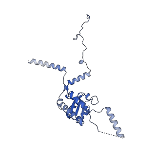 4137_5lzz_G_v1-3
Structure of the mammalian rescue complex with Pelota and Hbs1l (combined)