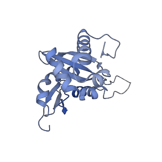 4137_5lzz_HH_v1-3
Structure of the mammalian rescue complex with Pelota and Hbs1l (combined)
