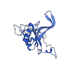 4137_5lzz_J_v1-3
Structure of the mammalian rescue complex with Pelota and Hbs1l (combined)