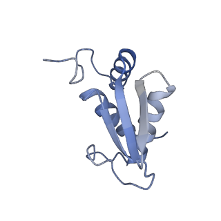 4137_5lzz_KK_v1-3
Structure of the mammalian rescue complex with Pelota and Hbs1l (combined)