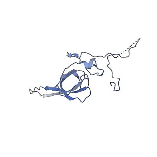 4137_5lzz_LL_v1-3
Structure of the mammalian rescue complex with Pelota and Hbs1l (combined)