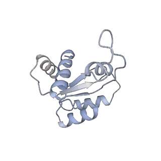 4137_5lzz_MM_v1-3
Structure of the mammalian rescue complex with Pelota and Hbs1l (combined)