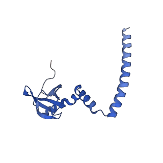 4137_5lzz_M_v1-3
Structure of the mammalian rescue complex with Pelota and Hbs1l (combined)