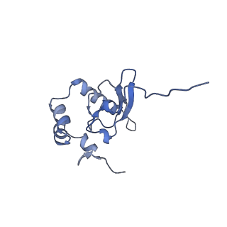 4137_5lzz_PP_v1-3
Structure of the mammalian rescue complex with Pelota and Hbs1l (combined)