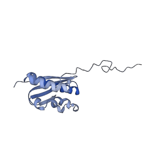 4137_5lzz_QQ_v1-3
Structure of the mammalian rescue complex with Pelota and Hbs1l (combined)