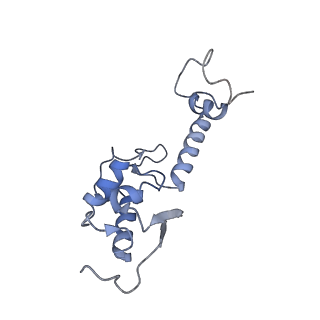 4137_5lzz_SS_v1-3
Structure of the mammalian rescue complex with Pelota and Hbs1l (combined)