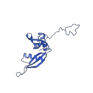 4137_5lzz_S_v1-3
Structure of the mammalian rescue complex with Pelota and Hbs1l (combined)