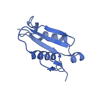 4137_5lzz_U_v1-3
Structure of the mammalian rescue complex with Pelota and Hbs1l (combined)