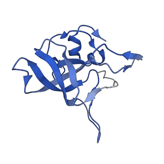 4137_5lzz_V_v1-3
Structure of the mammalian rescue complex with Pelota and Hbs1l (combined)