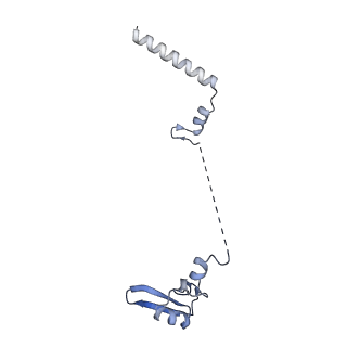 4137_5lzz_W_v1-3
Structure of the mammalian rescue complex with Pelota and Hbs1l (combined)