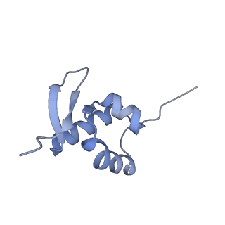 4137_5lzz_ZZ_v1-3
Structure of the mammalian rescue complex with Pelota and Hbs1l (combined)