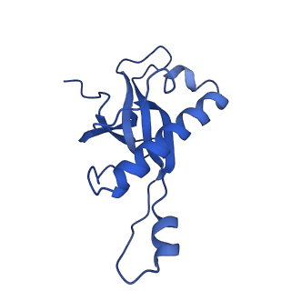 4137_5lzz_Z_v1-3
Structure of the mammalian rescue complex with Pelota and Hbs1l (combined)