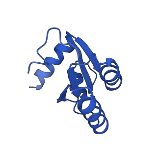 4137_5lzz_c_v1-3
Structure of the mammalian rescue complex with Pelota and Hbs1l (combined)