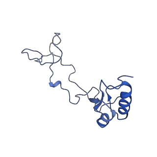 4137_5lzz_e_v1-3
Structure of the mammalian rescue complex with Pelota and Hbs1l (combined)