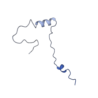 4137_5lzz_ee_v1-3
Structure of the mammalian rescue complex with Pelota and Hbs1l (combined)