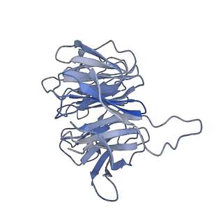4137_5lzz_gg_v1-3
Structure of the mammalian rescue complex with Pelota and Hbs1l (combined)