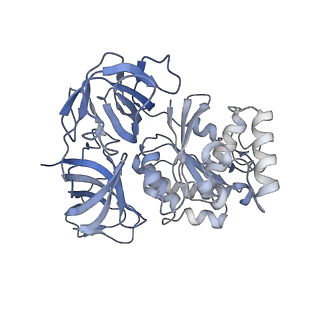 4137_5lzz_jj_v1-3
Structure of the mammalian rescue complex with Pelota and Hbs1l (combined)