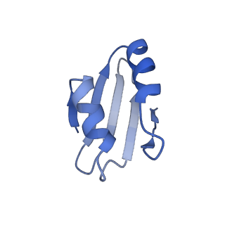 4137_5lzz_k_v1-3
Structure of the mammalian rescue complex with Pelota and Hbs1l (combined)