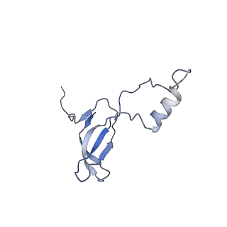 4137_5lzz_o_v1-3
Structure of the mammalian rescue complex with Pelota and Hbs1l (combined)