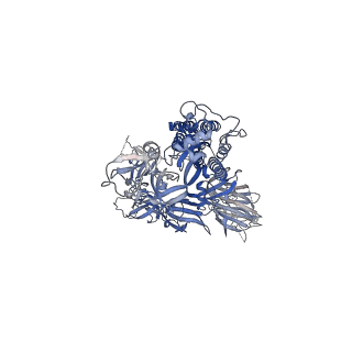23612_7m0j_A_v1-1
SARS-CoV-2 u1S2q All Down RBD State Spike Protein Trimer - asymmetric refinement