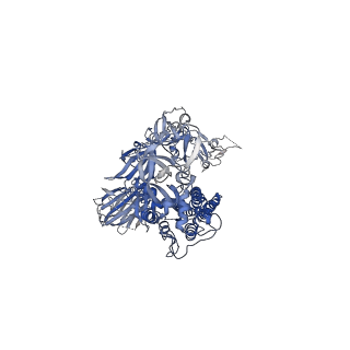 23612_7m0j_B_v1-1
SARS-CoV-2 u1S2q All Down RBD State Spike Protein Trimer - asymmetric refinement