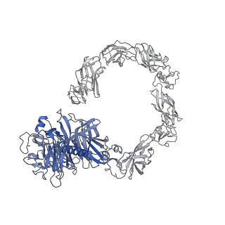 23613_7m0r_A_v1-1
Cryo-EM structure of the Sema3A/PlexinA4/Neuropilin 1 complex