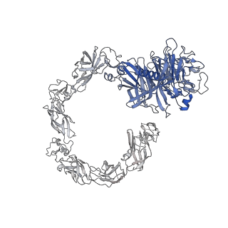 23613_7m0r_B_v1-1
Cryo-EM structure of the Sema3A/PlexinA4/Neuropilin 1 complex