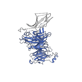 23613_7m0r_C_v1-1
Cryo-EM structure of the Sema3A/PlexinA4/Neuropilin 1 complex