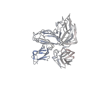 23613_7m0r_F_v1-1
Cryo-EM structure of the Sema3A/PlexinA4/Neuropilin 1 complex