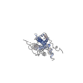 30028_6m02_A_v1-2
cryo-EM structure of human Pannexin 1 channel