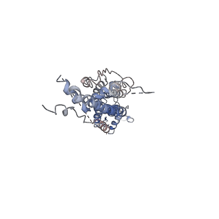 30028_6m02_E_v1-2
cryo-EM structure of human Pannexin 1 channel
