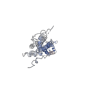 30028_6m02_F_v1-2
cryo-EM structure of human Pannexin 1 channel