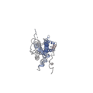 30028_6m02_G_v1-2
cryo-EM structure of human Pannexin 1 channel