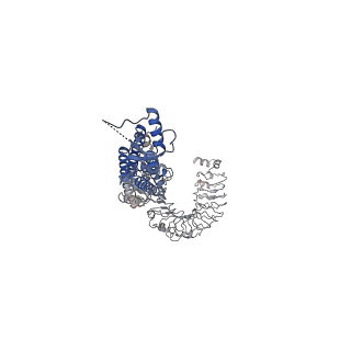 30029_6m04_C_v1-0
Structure of the human homo-hexameric LRRC8D channel at 4.36 Angstroms