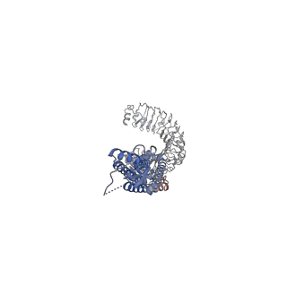 30029_6m04_D_v1-0
Structure of the human homo-hexameric LRRC8D channel at 4.36 Angstroms