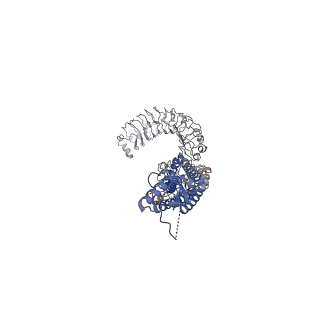 30029_6m04_E_v1-0
Structure of the human homo-hexameric LRRC8D channel at 4.36 Angstroms