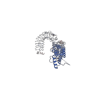 30029_6m04_F_v1-0
Structure of the human homo-hexameric LRRC8D channel at 4.36 Angstroms