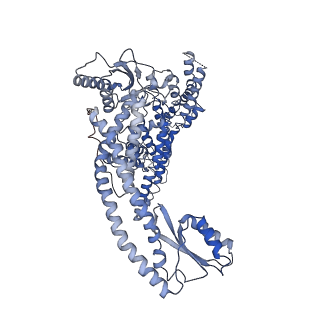 30035_6m0s_A_v1-1
3.6A Yeast Vo state3 prime