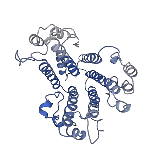 30035_6m0s_B_v1-1
3.6A Yeast Vo state3 prime