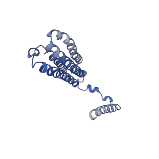 30035_6m0s_C_v1-1
3.6A Yeast Vo state3 prime