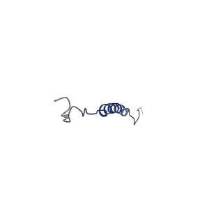 30035_6m0s_N_v1-1
3.6A Yeast Vo state3 prime