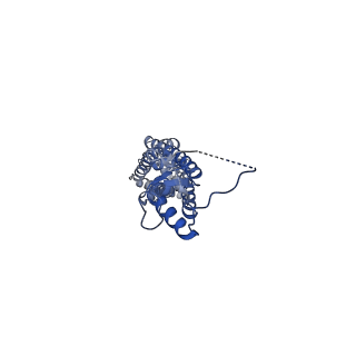 23614_7m17_A_v1-0
SN-407-LRRC8A in MSP1E3D1 lipid nanodiscs (Pose-1)