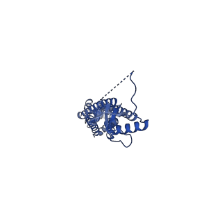 23614_7m17_B_v1-0
SN-407-LRRC8A in MSP1E3D1 lipid nanodiscs (Pose-1)