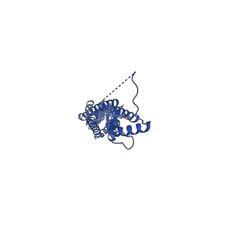 23614_7m17_B_v2-1
SN-407-LRRC8A in MSP1E3D1 lipid nanodiscs (Pose-1)