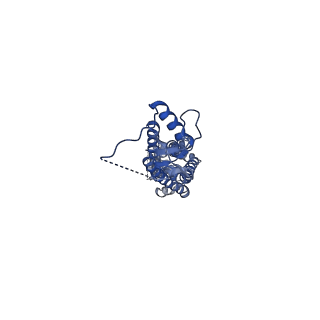 23614_7m17_D_v1-0
SN-407-LRRC8A in MSP1E3D1 lipid nanodiscs (Pose-1)