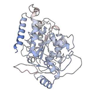 23615_7m18_C_v1-2
HeLa-tubulin in complex with cryptophycin 1