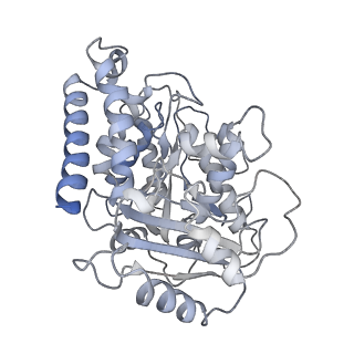 23615_7m18_F_v1-2
HeLa-tubulin in complex with cryptophycin 1