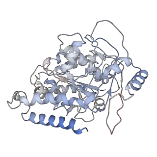 23615_7m18_G_v1-2
HeLa-tubulin in complex with cryptophycin 1
