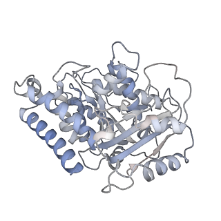 23615_7m18_H_v1-2
HeLa-tubulin in complex with cryptophycin 1