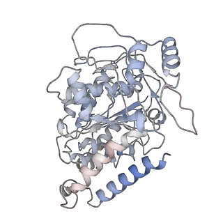 23615_7m18_I_v1-2
HeLa-tubulin in complex with cryptophycin 1